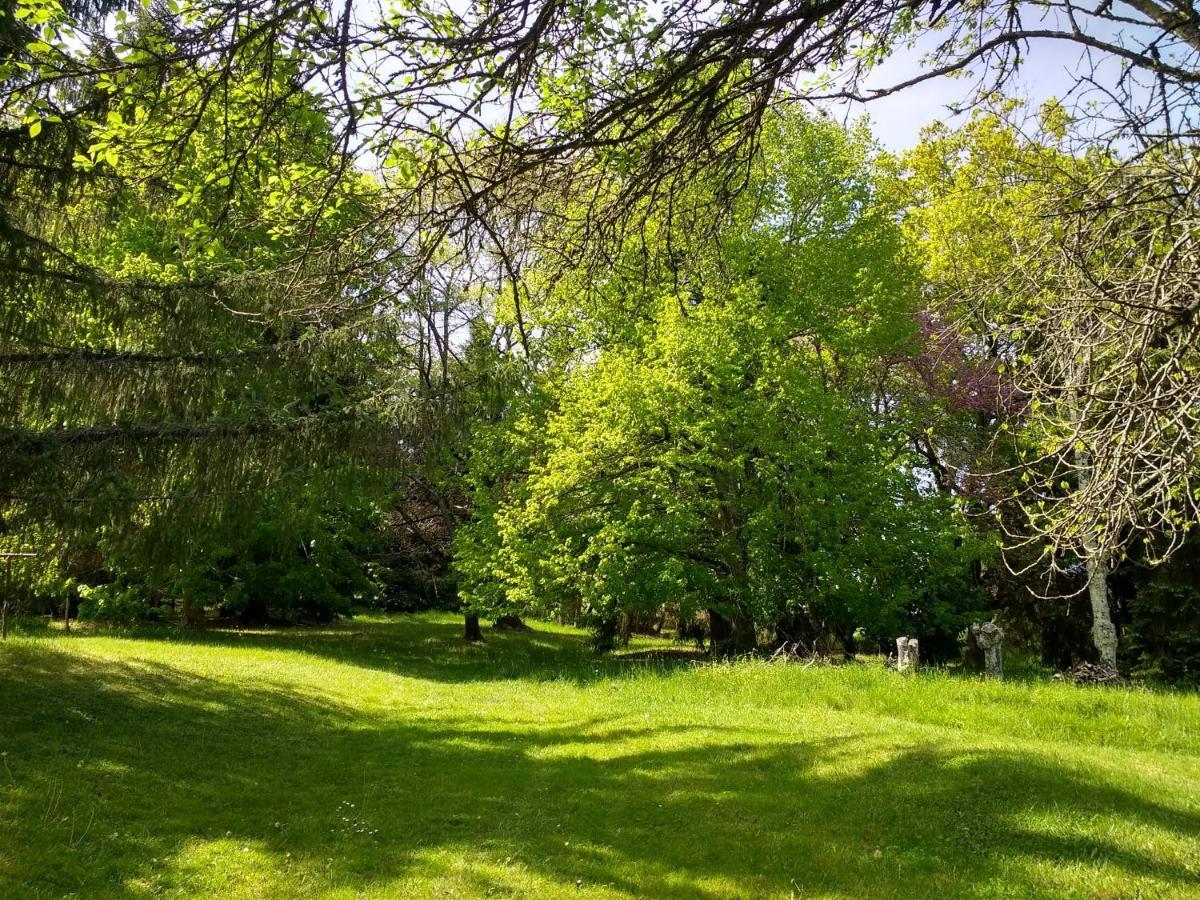 Pyrenees Vue Gite - Vues Fantastique, Parking Gratuit Sur Place & Piscine Saint Gaudens Luaran gambar
